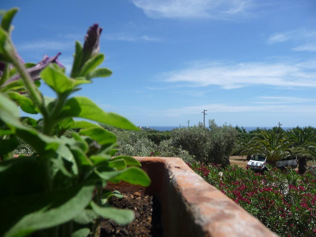 Masseria Serine Santa Maria di Leuca Bagian luar foto